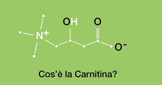 Composizione della molecola di l-carnitina Composizione della molecola di l-carnitina