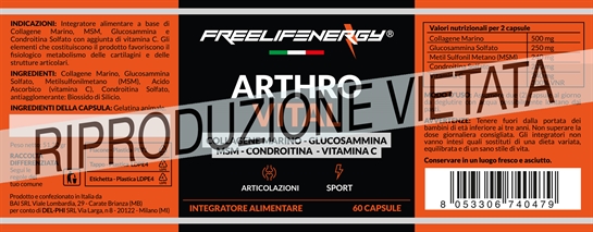 Arthro Vital 60 capsule