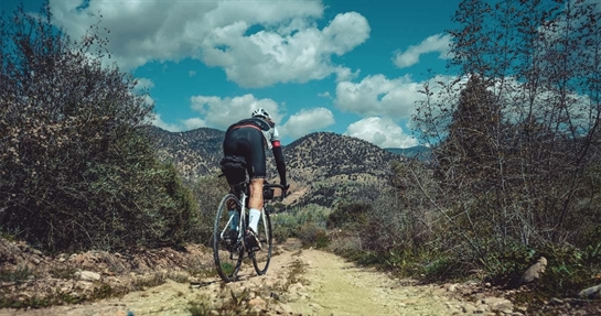 Colesterolo buono e cattivo nelle attività sportive Colesterolo buono e cattivo nelle attività sportive