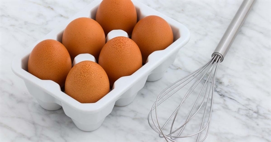 Mangiare solo proteine Mangiare solo proteine