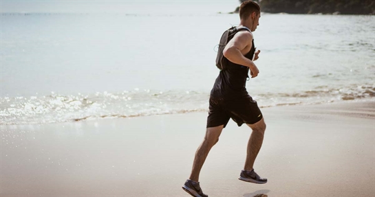 metabolismo dei lipidi nei muscoli metabolismo dei lipidi nei muscoli